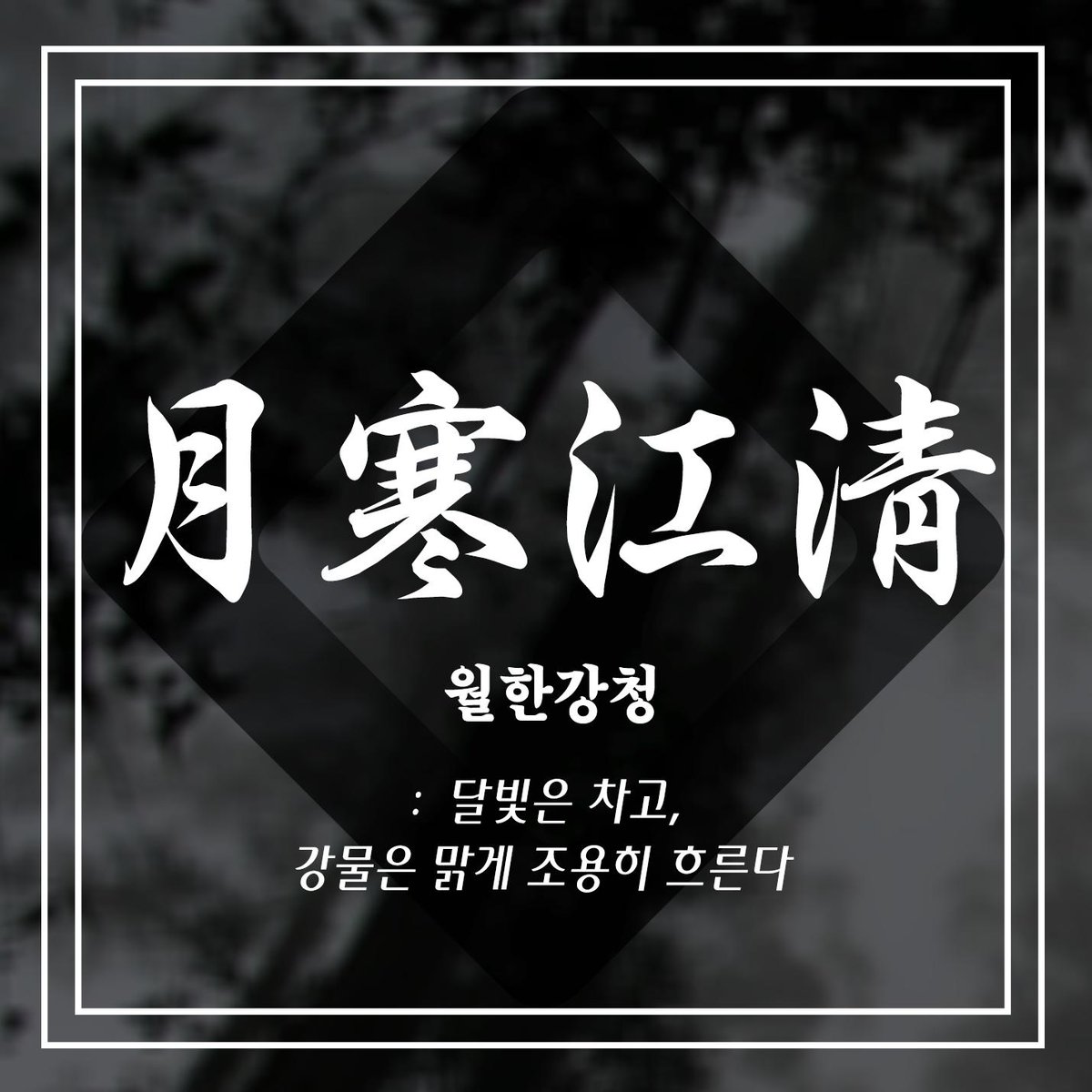 월한강청 tweet media