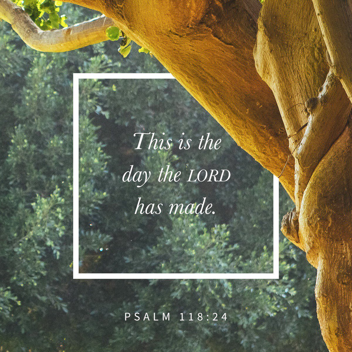 devozinemag's tweet photo. Let us rejoice and be glad in it! https://t.co/stdGe9FVmZ