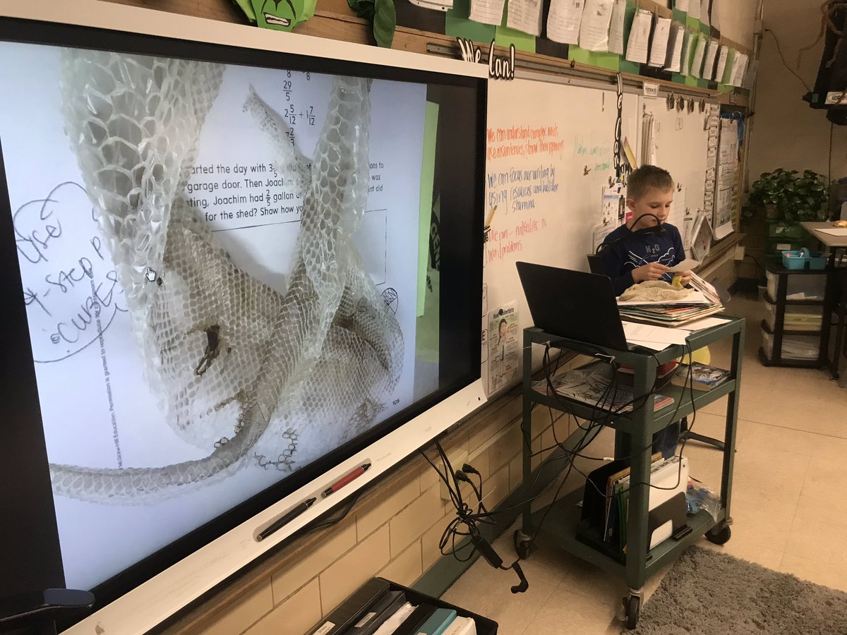 carriejosnyder's tweet photo. Thanks M for sharing your snake’s skin with us, off the heels of our Survival of the Fittest #STEMscope unit! #ILSchoolStories #NGSsuperheroHQ #ngsd66 https://t.co/rKeMddmwmm