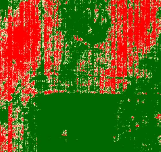 GeoByENVI's tweet photo. How ENVI Crop Science can help Hemp growers maximize yields. Check out the blog post to see how. https://t.co/RYkrEtNemh #ENVI #ENVICropScience https://t.co/BeTmL7eAPG