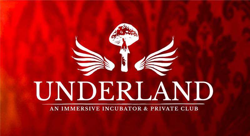 RathskellerClub's tweet photo. Underland: A New Immersive Club &amp; Incubator from @epicimmersive - https://t.co/iWvYVKwEEO https://t.co/tgCgtjeweJ