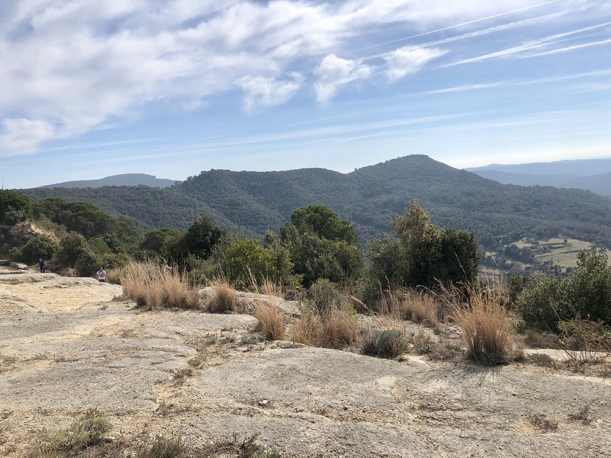 jroigan's tweet photo. Running en el TrailSanta Brigida. Uff un 10 pel recorregut, molt i molt de corriol i tècnic. @trailstabrigida @AlbertRoura https://t.co/UiEvSZOFrZ