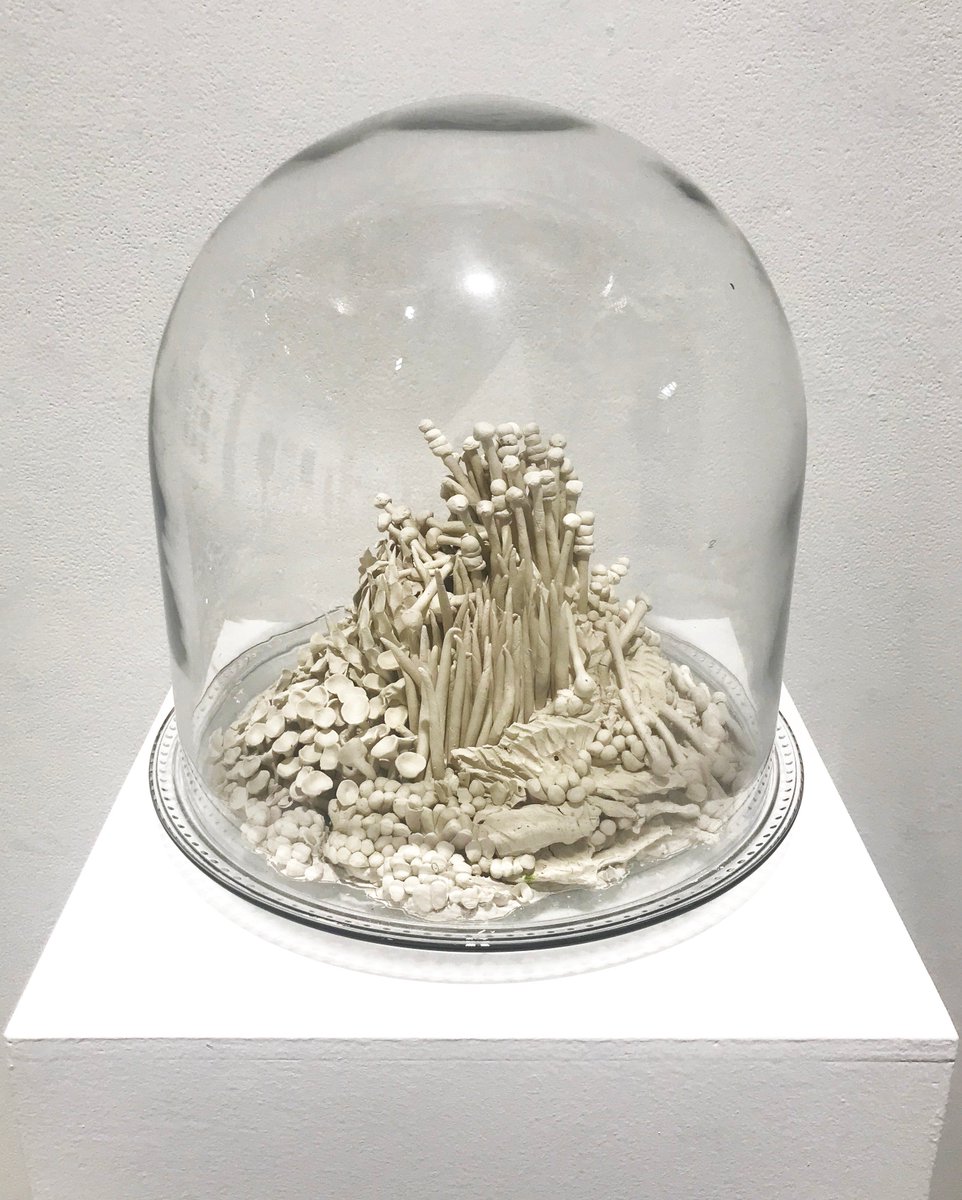 RoCo137's tweet photo. Rachel Eng grew up exploring the deciduous forests of #ROC, NY. Her work employs repetitive patterns and the use of multiple elements to create complex visual and textural experiences. View her delicate meditation on ecosystems at RoCo until March 16. #UnbuiltRochester #ROCartist https://t.co/3kgtV8Fjni