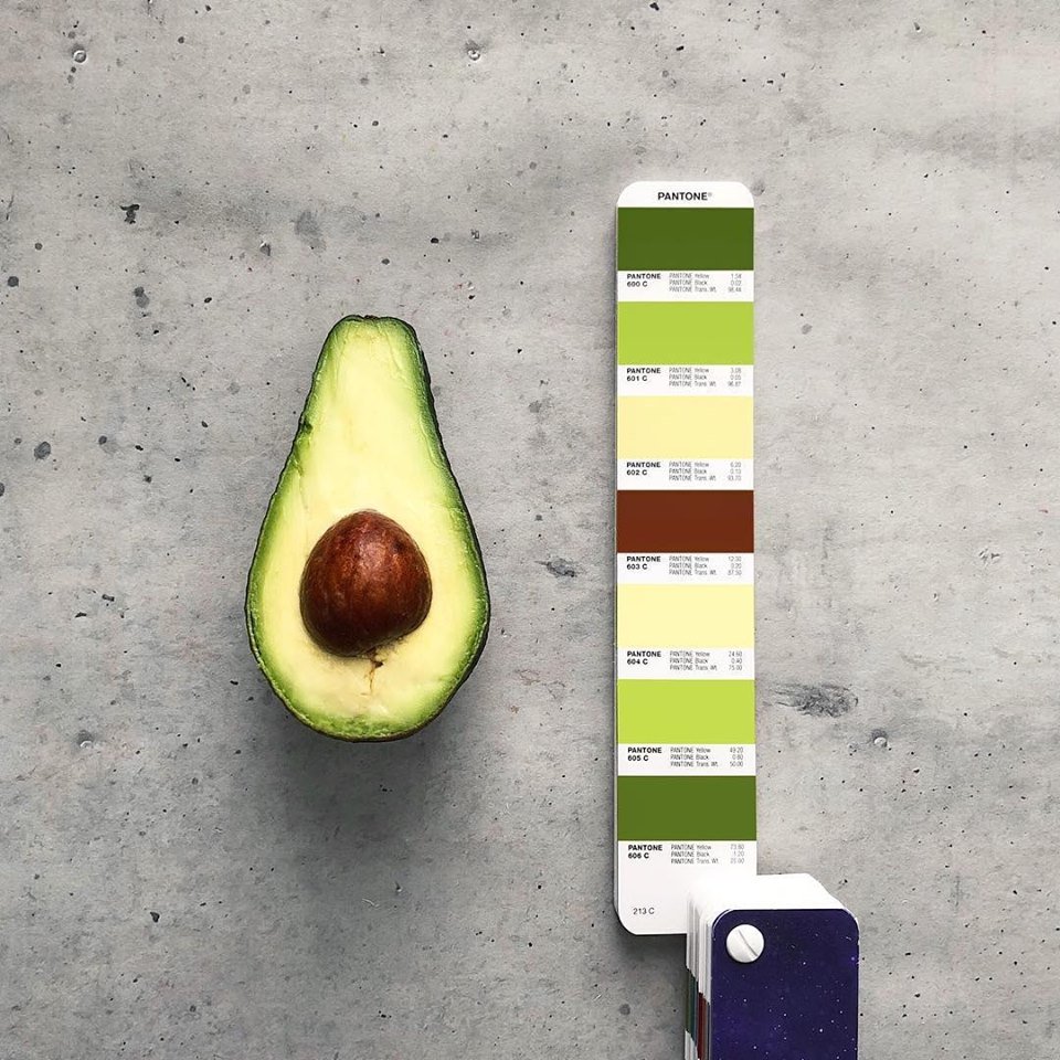 RevistaPICNIC's tweet photo. ¿Que Pantone tiene un aguacate? El fotógrafo #TomLowe nos muestra. https://t.co/L02tMIOz2P
