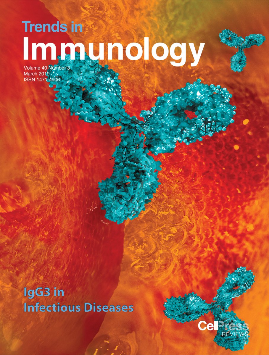TrendsImmuno's tweet photo. New March issue @TrendsImmuno: #Skin #Immunity, #Heart #Macrophages, #IgG3 in #Infection, #Liver-#resident #Tcells in #malaria, #mediators of #resolution of #inflammation, #neutrophils in #cancer, #STAb & #CAR #Tcells, #immunoreceptor #engineering & more! https://t.co/nTAHqP9RnU