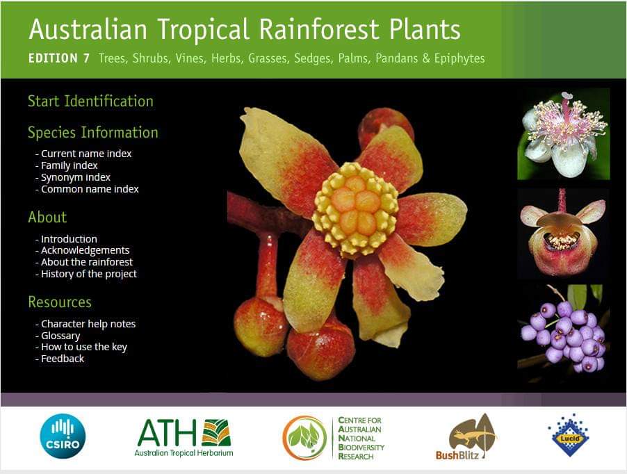 aust_trop_herb's tweet photo. Edition 7 of the interactive identification and information system ‘Australian Tropical Rainforest Plants’ (known as the RFK), has just been released online: https://t.co/coGy1SpGmw
For more information on this release: https://t.co/BEgfbKe2ON https://t.co/sSk3Yqhqbs
