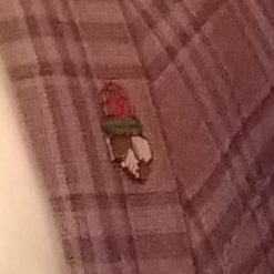 DSA lapel pin on football player