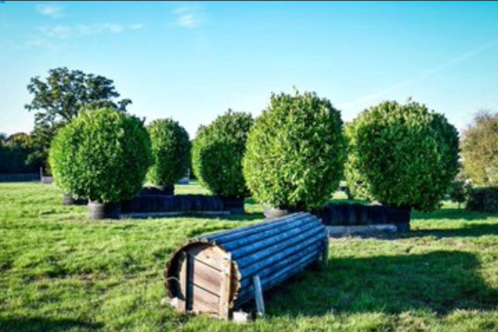 Matthew Tarrant (@lmeq1) on Twitter photo Always a treat to have <a href="/bhorsetrials/">Badminton Horse Trials</a> XC Builders The Willis Bros at <a href="/LittletonManor/">Littleton Manor EQ</a> for course building. Loads of new lines & combinations created today & large number of fences on fresh ground! Tomorrow pm is rolling time!
TEXT 07771600033 to book
#TwitterEventing #EquineHour Always a treat to have <a href="/bhorsetrials/">Badminton Horse Trials</a> XC Builders The Willis Bros at <a href="/LittletonManor/">Littleton Manor EQ</a> for course building. Loads of new lines & combinations created today & large number of fences on fresh ground! Tomorrow pm is rolling time!
TEXT 07771600033 to book
#TwitterEventing #EquineHour