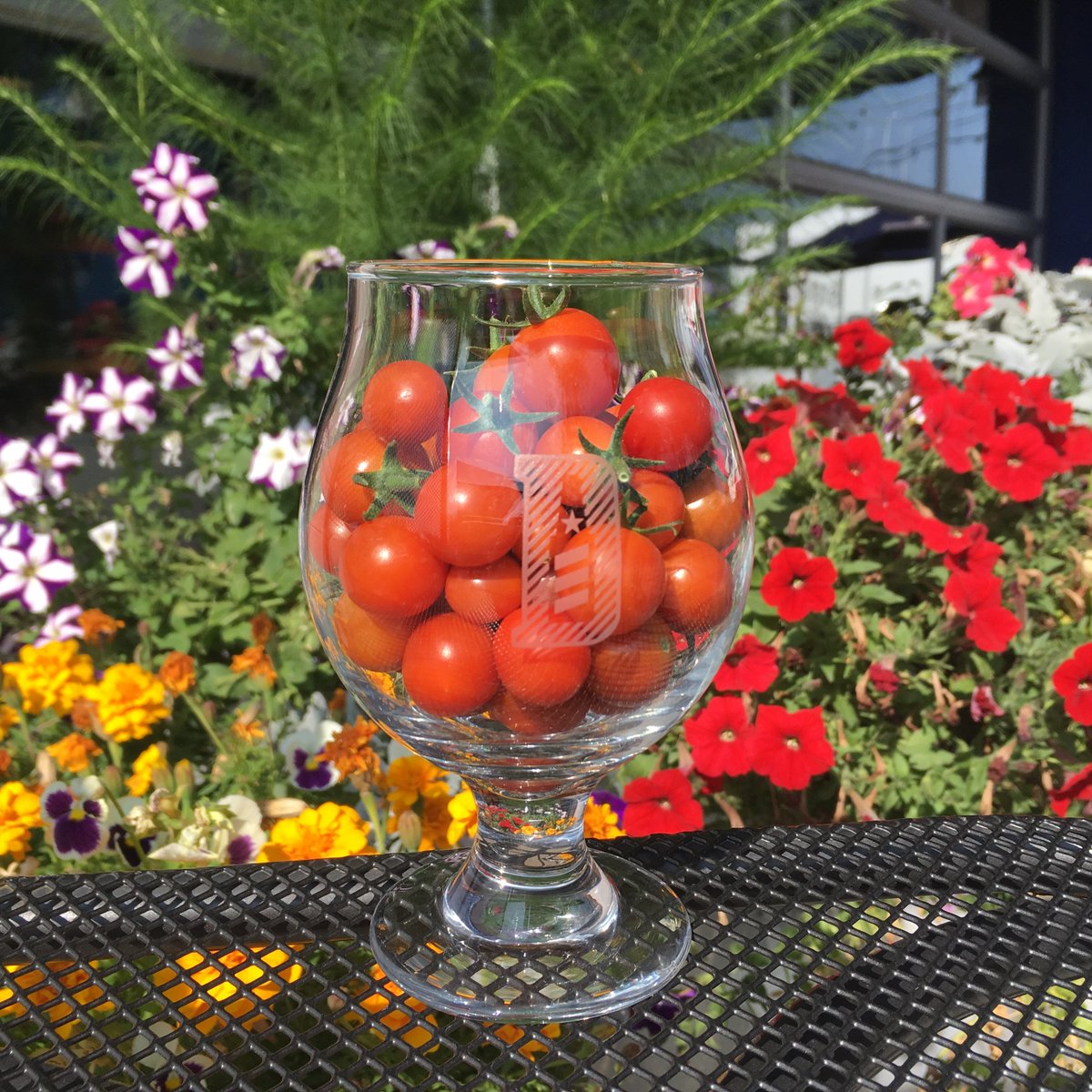 We’re starting to yearn for patio season, are you? #beergardenandrealgarden 🍅

#DeclarationBrewing #beergarden #patioseason #coloradocraftbeer #denvercraftbeer