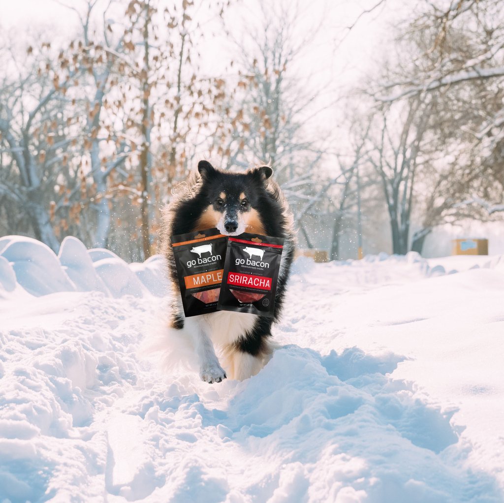 GoBaconJerky's tweet photo. There is nothing cuter in the world than a fluffy dog bringing you bag of delicious jerky bacon. Change my mind. #jerky #dog #doogie #cute #snow #winter #precious #food #snack #tasty #spring #foodie #foodblogger #foodstagram #yummy #keto #protein #diet #exercise #animals #buynow https://t.co/1VqiiDiJQg