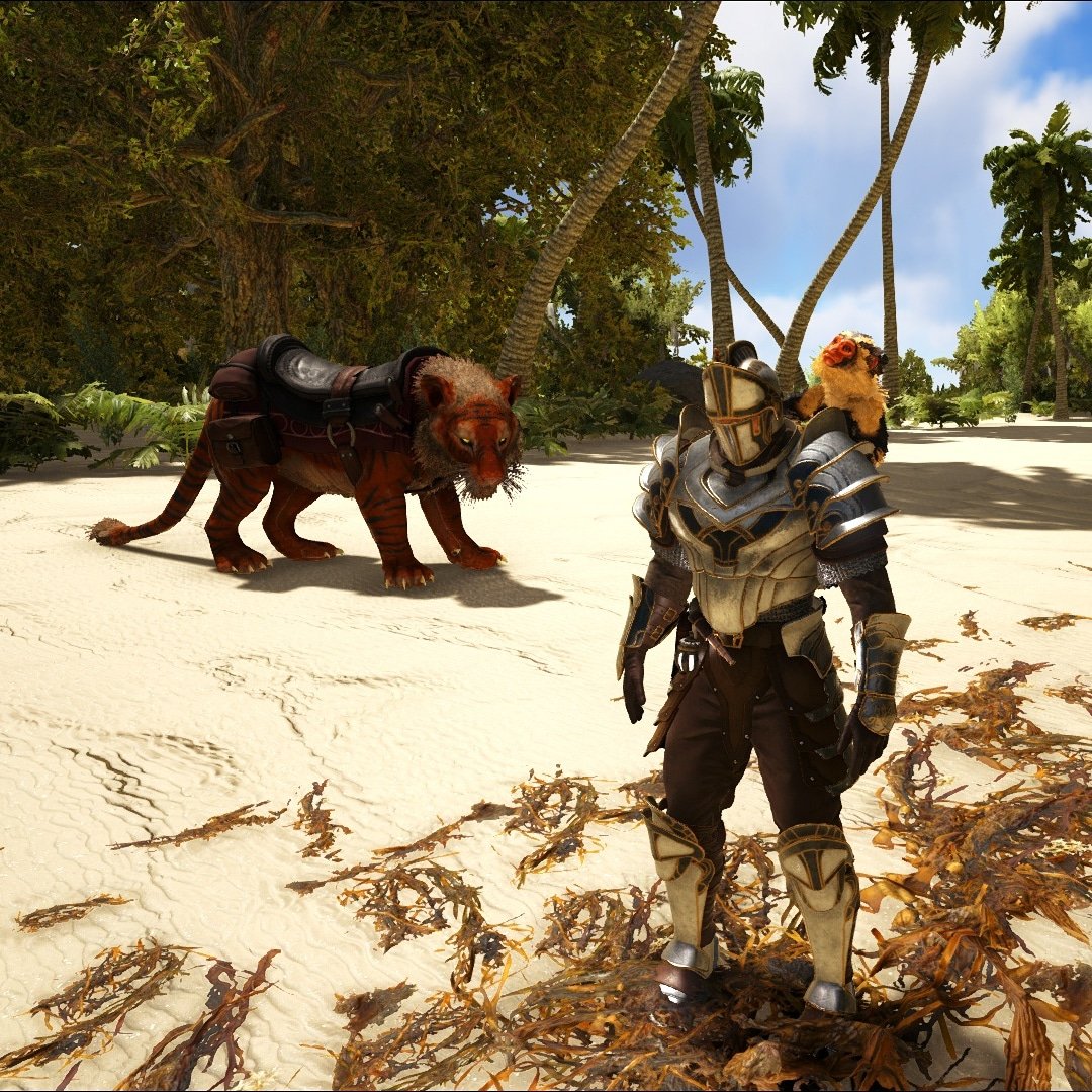 MoshmanGaming's tweet photo. Real men where full plate armor to the beach for maximum protection....ginger ones do at least #beechday #beechvibes #gamingscreenshot #screenshot #youtubegaming #youtuber #youtube #nerd #nerds #gaming #gamers #gamer #pcgamer #pcgaming #twitchgamer #twitch #smallyoutuber https://t.co/ePqSUqKSZE
