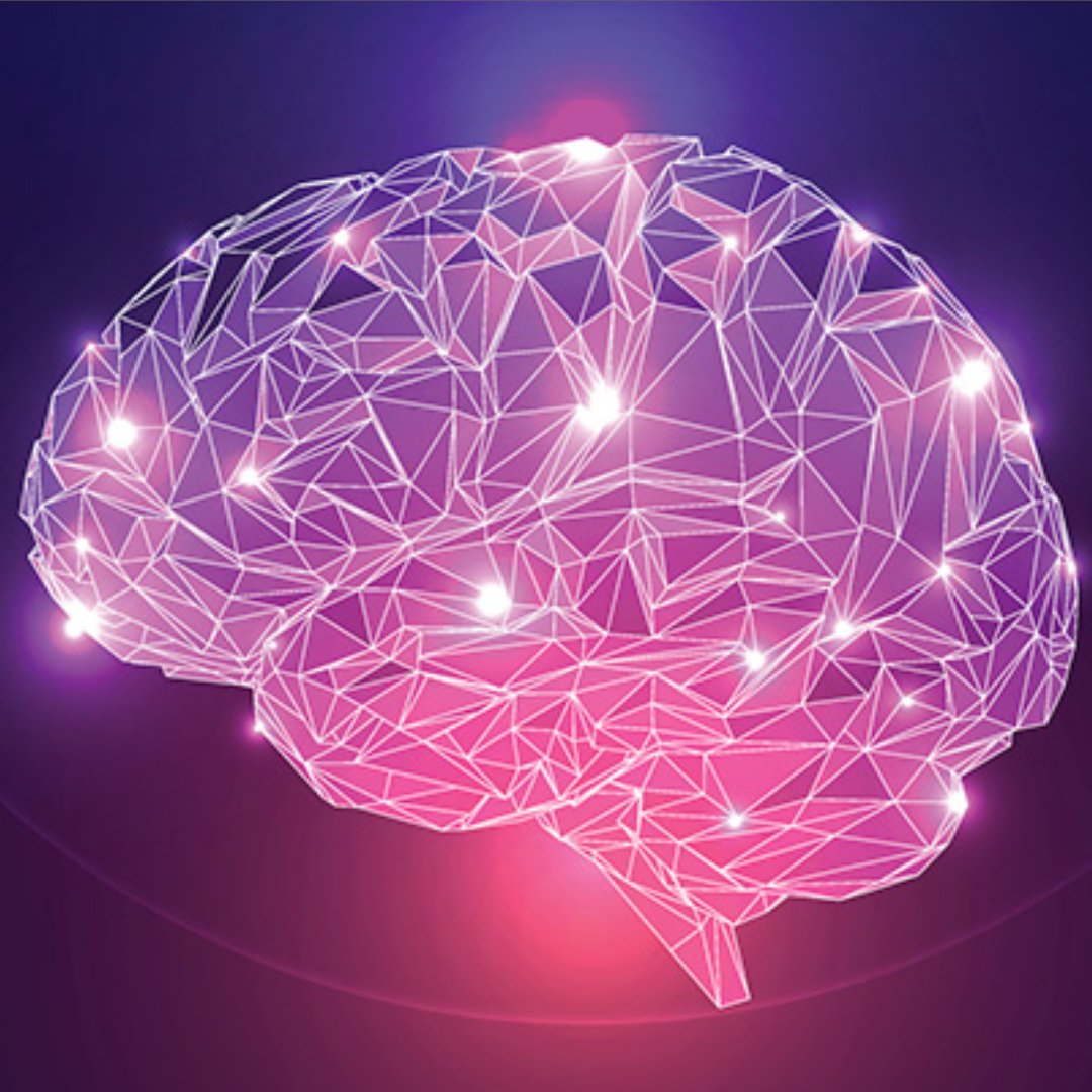 DrTaghva's tweet photo. There are 100,000 miles of blood vessels in the brain. The distance around the world at the equator is 24,900 miles. https://t.co/2to1My7b39 (949) 388-7190 #braintrivia https://t.co/KpmKjC0m24