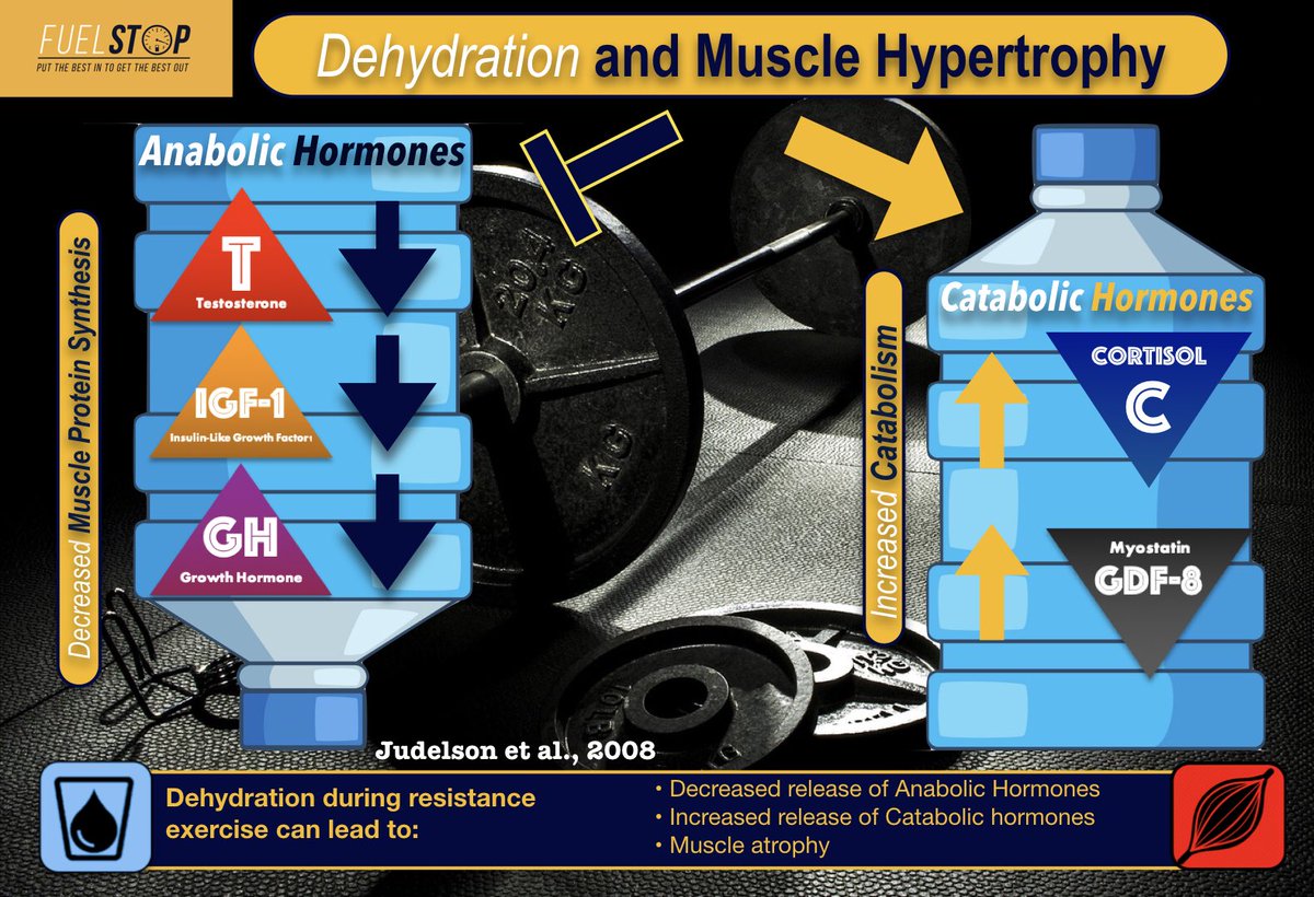 Fuel Stop Nutrition tweet media