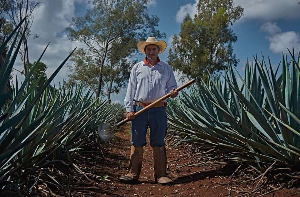 Dollar_Mexico's tweet photo. México es tierra de tradiciones. 
#Tequila es el lugar donde tienes que ir este #finde
#RoadTrip 🚗
#VisitaJalisco https://t.co/ssXz6D5r4w