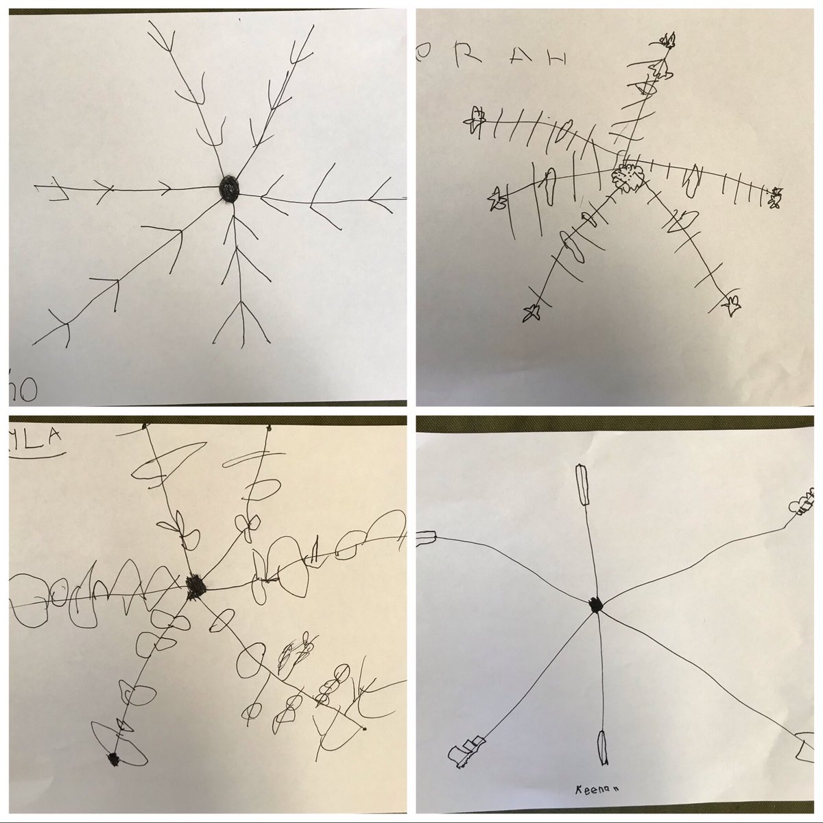 PineKinderWood's tweet photo. After learning all about snowflakes and reading Snowflake Bentley, if you could take a picture of a snowflake, what do you think it would look like? #sd37 #winterinquiry https://t.co/4Va2AZpQYQ