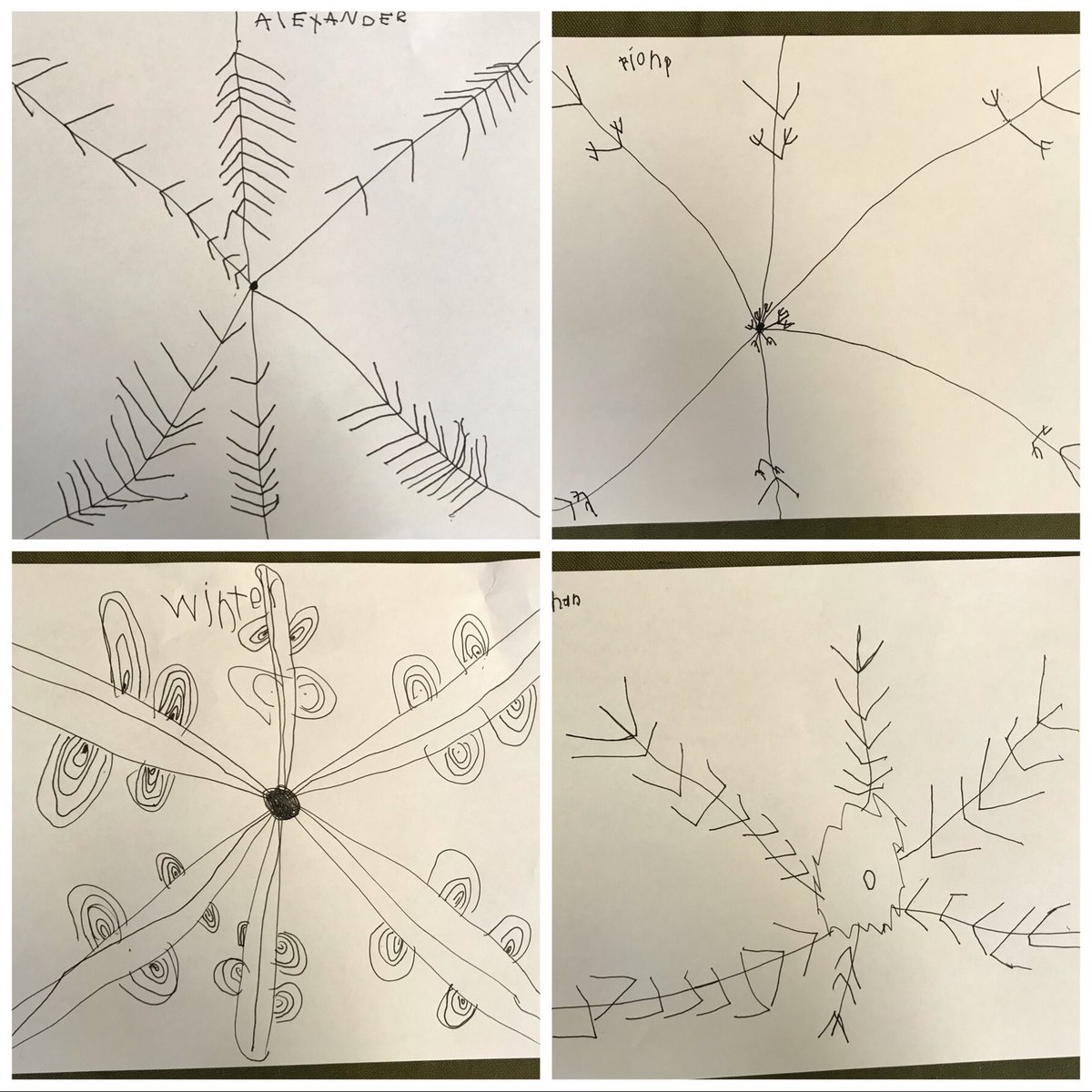 PineKinderWood's tweet photo. After learning all about snowflakes and reading Snowflake Bentley, if you could take a picture of a snowflake, what do you think it would look like? #sd37 #winterinquiry https://t.co/4Va2AZpQYQ