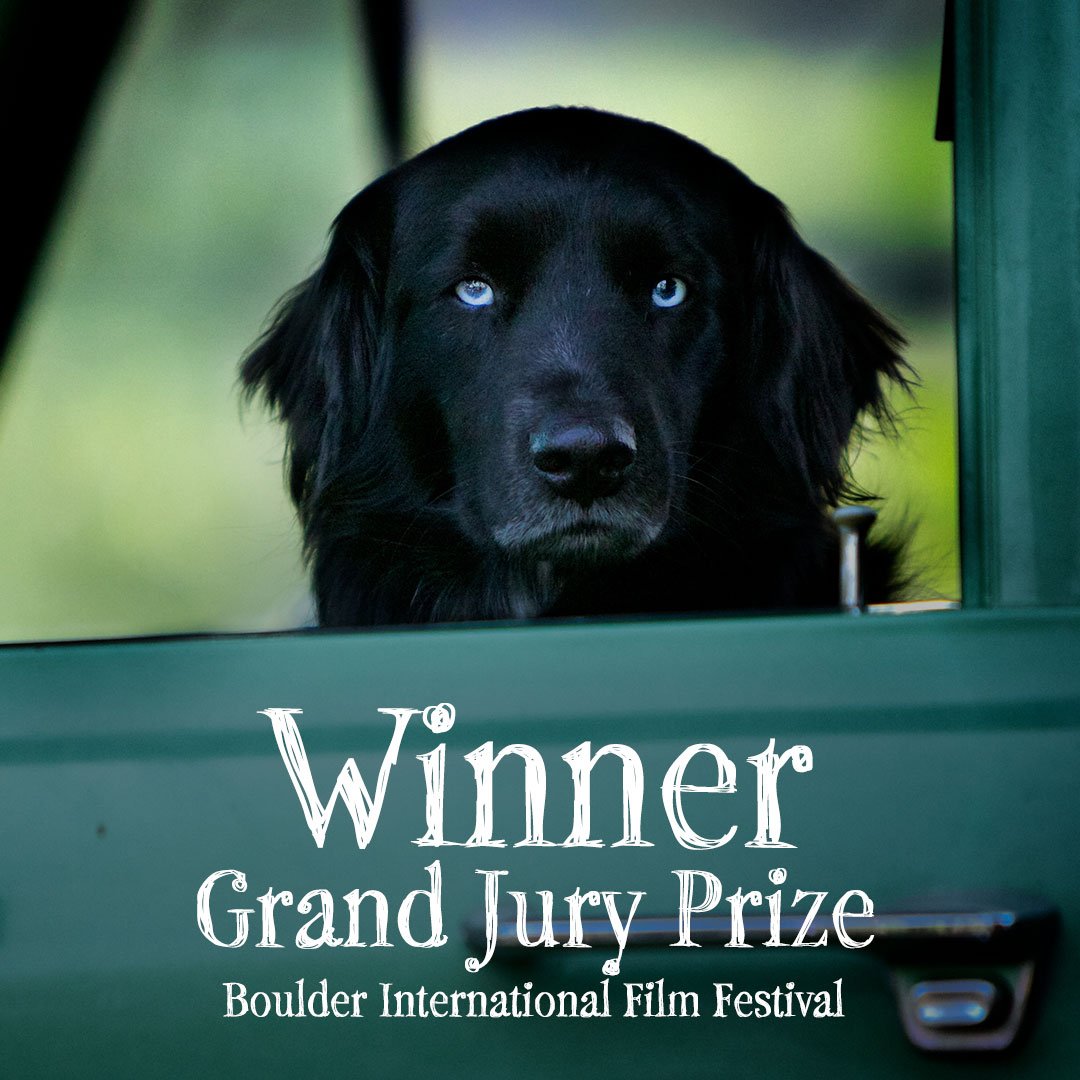 Image result for the biggest little farm todd"