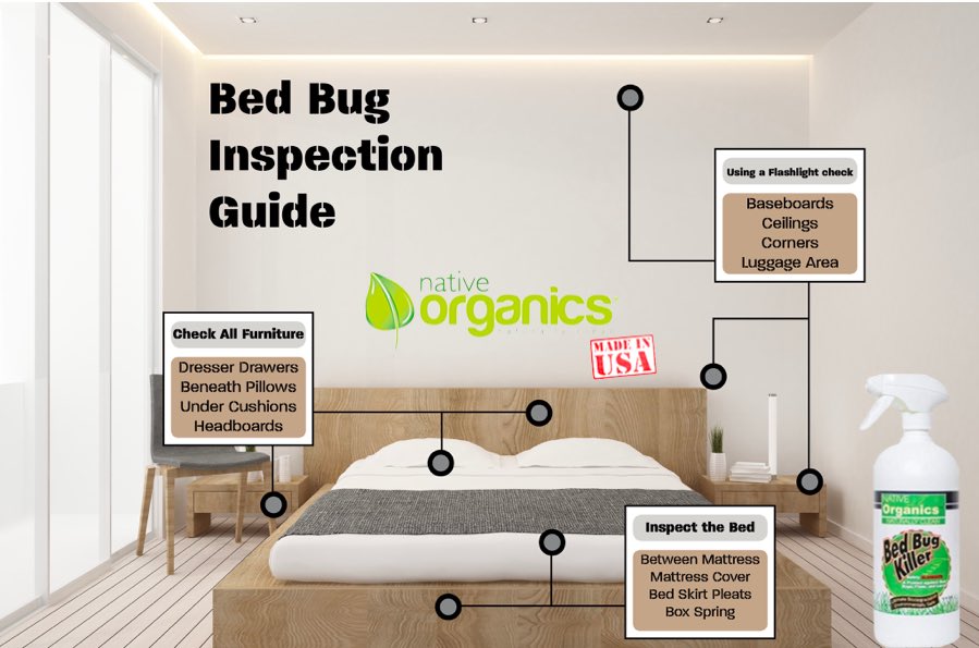 nativeorganics1's tweet photo. #bedbugs #bedbugkiller #organicliving #vegan #pesticides https://t.co/MpwPMhvPIL
