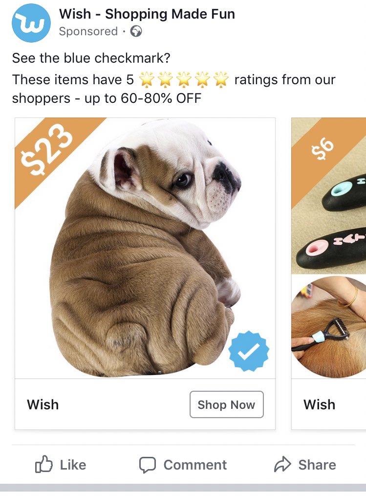 Jennyoleary90's tweet photo. I really hope @WishShopping aren’t selling pugs for £23 👀👀👀 😂😂 #badadvertisement https://t.co/CxrdKffZt0
