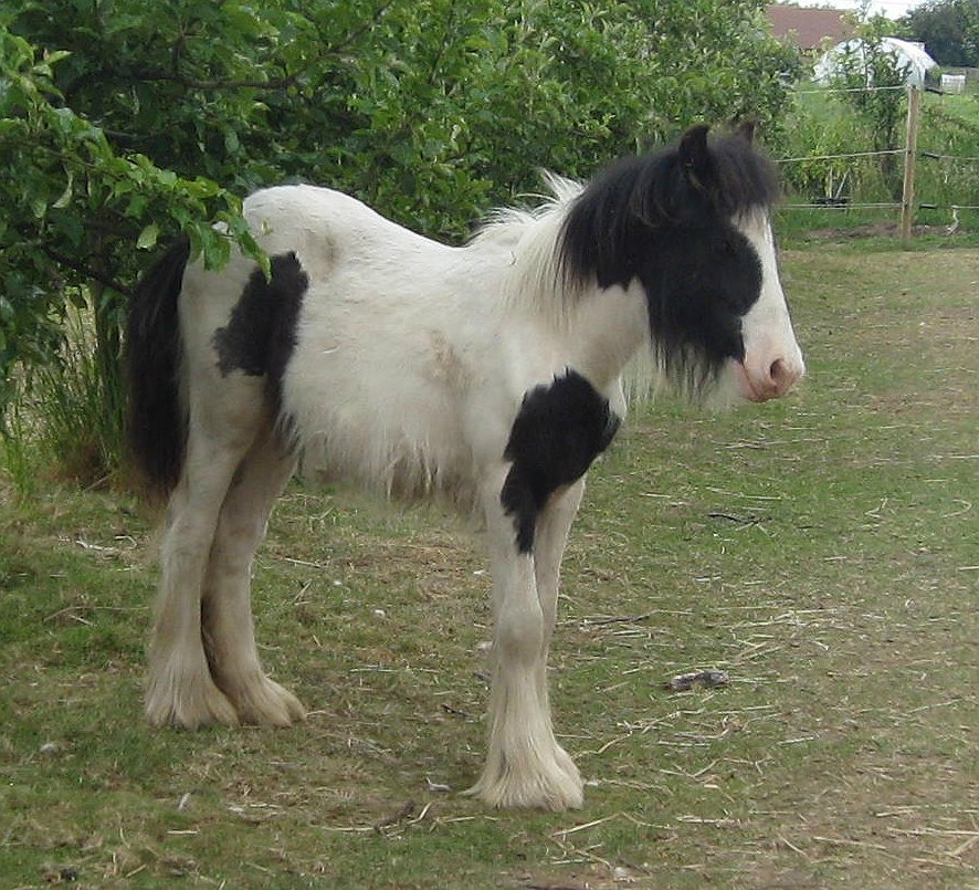 "One moment can change a day, one day can change a life and one life can change the world"
#TuesdayThoughts #charitytuesday
 gofundme.com/z8gpxg