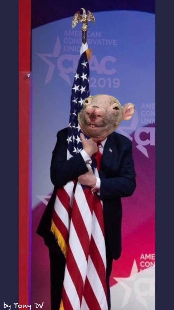 D02egDTWwAAi6Q3.jpg