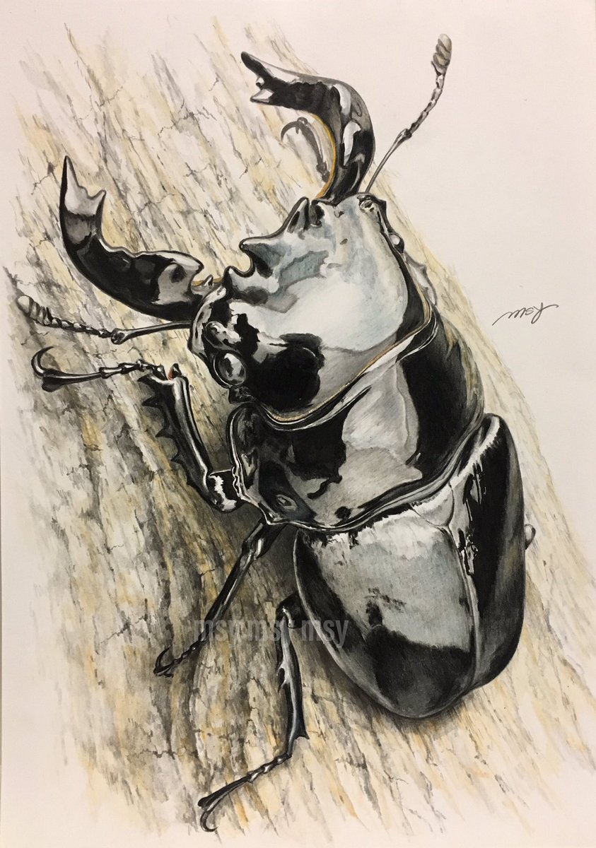 タランドゥスオオツヤクワガタ 描きました！ #Mesotopus