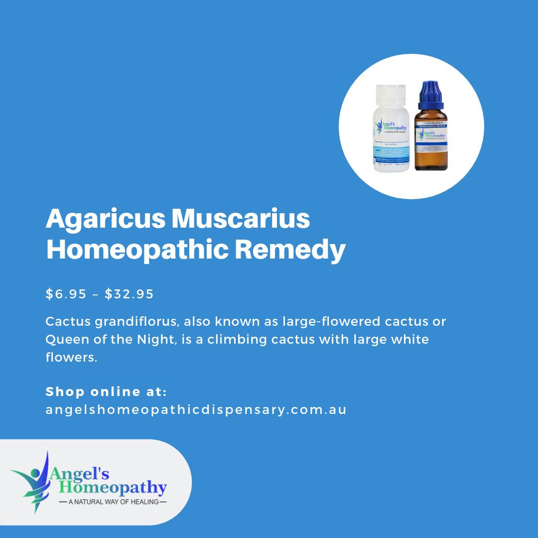 AngelsHomeoAus's tweet photo. Agaricus Muscarius Homeopathic Remedy. Cactus grandiflorus, also known as large-flowered cactus or Queen of the Night, is a climbing cactus with large white flowers. Learn more at: https://t.co/MbGOzFlaOP #HomeopathyUpdates #HomeopathyForAll #homeopathyworks #HomeopathyResearch https://t.co/FpOPrLPQeM