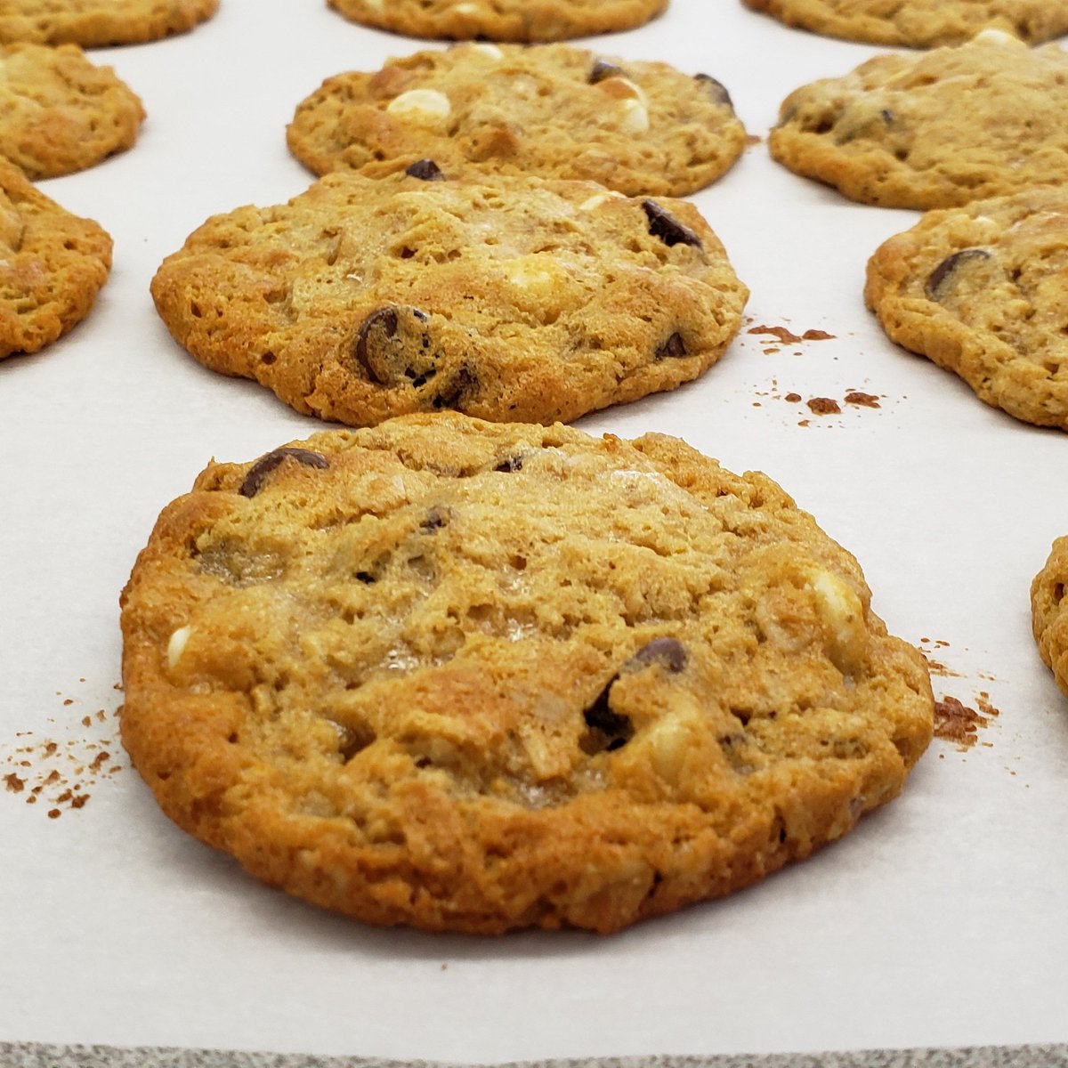 Melissa Priester tweet media