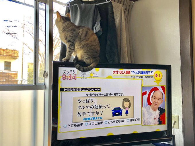 19年3月5日 火 スッキリで話題になったワード トレンドアットtv 19年3月5日 火 スッキリで話題になったワード トレンドアットtv