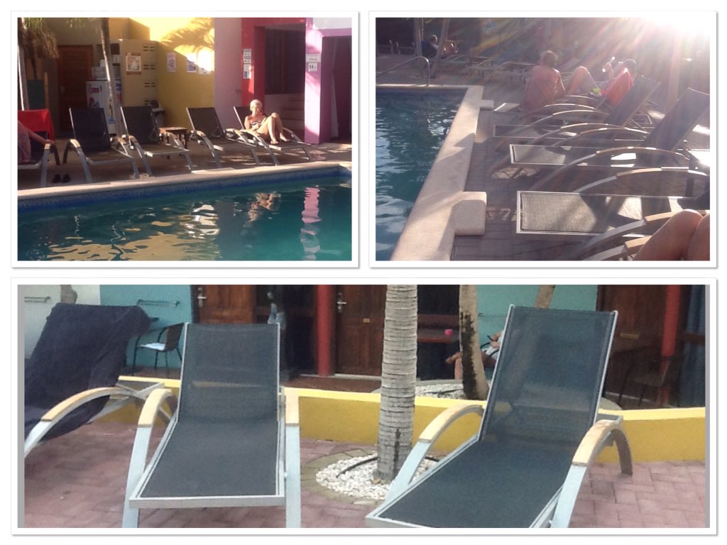 Curacao1Hostel's tweet image. New sun beds! Come have a seat by the pool! #bythepool #alwayssummer  #poolchair #caribbeanvacation #firstcuracaohostel  #hostel #Curacao