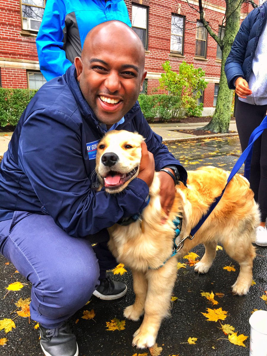 SMGebru's tweet photo. All this attention on @ewarren’s dog Bailey reminds me of our first encounter last November. It was love at first sight. #firstdog #goldenretriever #goodboy #elizabethwarren #warren2020 #dogs #dogsofinstagram #instadogs #woof #politicaldogs #mapoli #dogsoftwitter #twitterdogs https://t.co/soMekp9G41