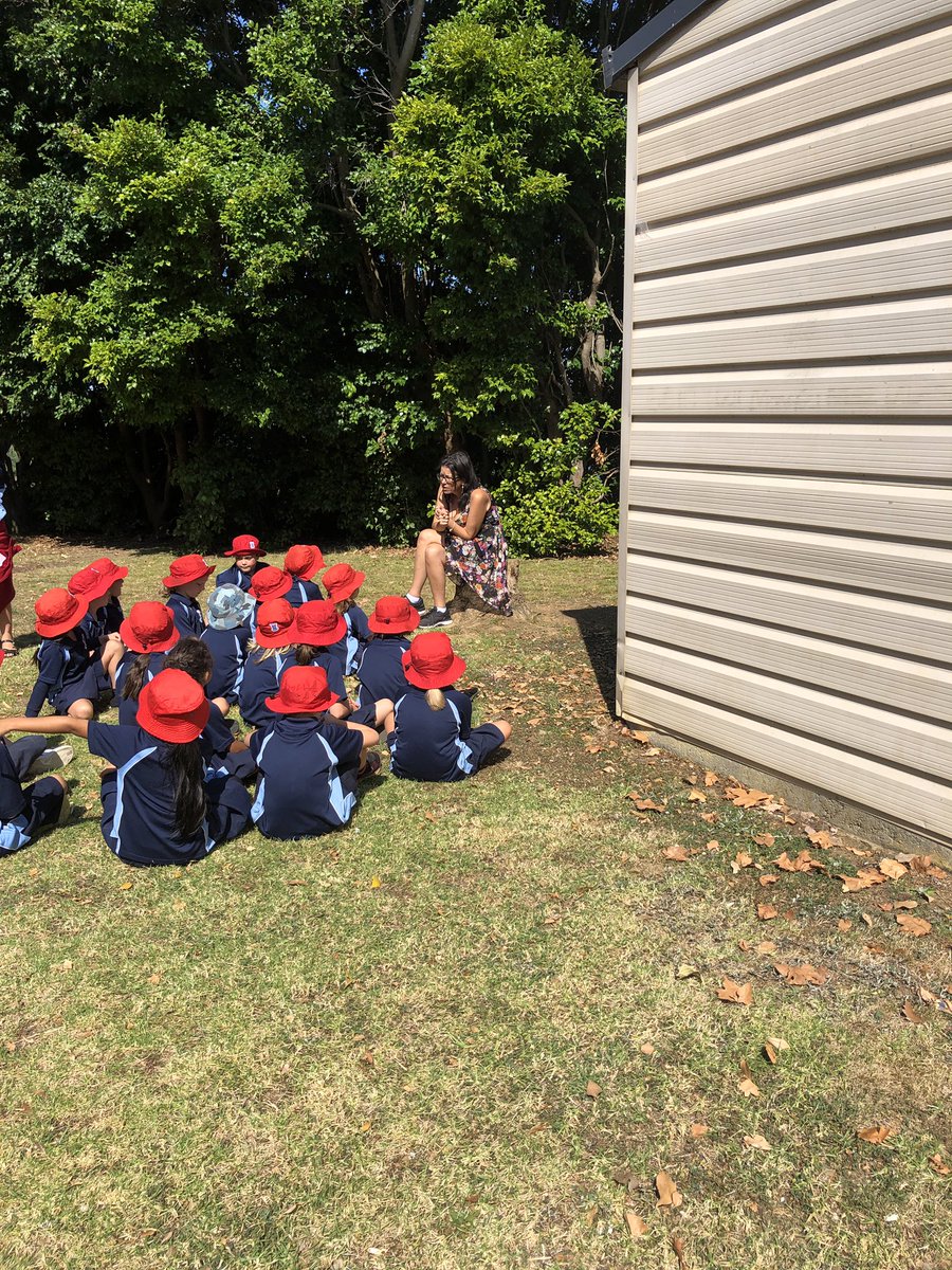 SJ Orakei tweet media