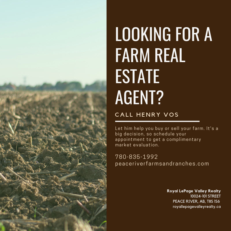 Peace River Farms Henry (henryvosfarms) Twitter