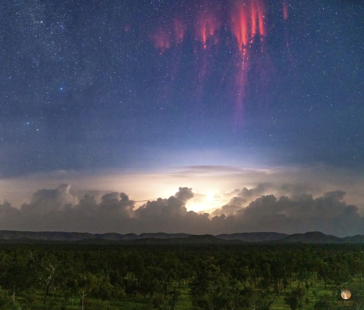 ScienceAlert's tweet image. Storms are so complex and so beautiful! 🌩⚡️ This is sprite lightning, a type of electrical discharge that is triggered ABOVE stormclouds - probably by electrical activity in the clouds, and between the clouds and the ground.

📷: BenBroady.com /APOD