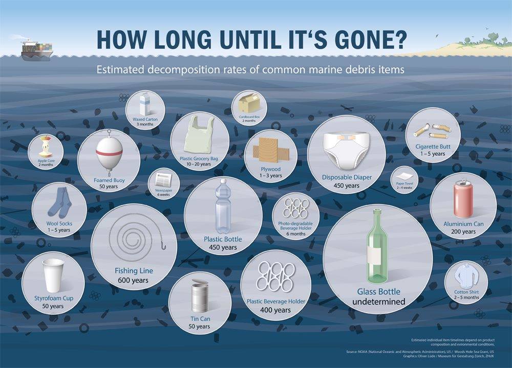 HorizonsRC's tweet photo. Do you know how long rubbish takes to decompose? Check out this helpful diagram of common marine waste - the answer is a long time! Help our protect our environment for generations to come, and pick up litter if you see it! 💚 #seaweek2019 https://t.co/9QKZBjxN5A