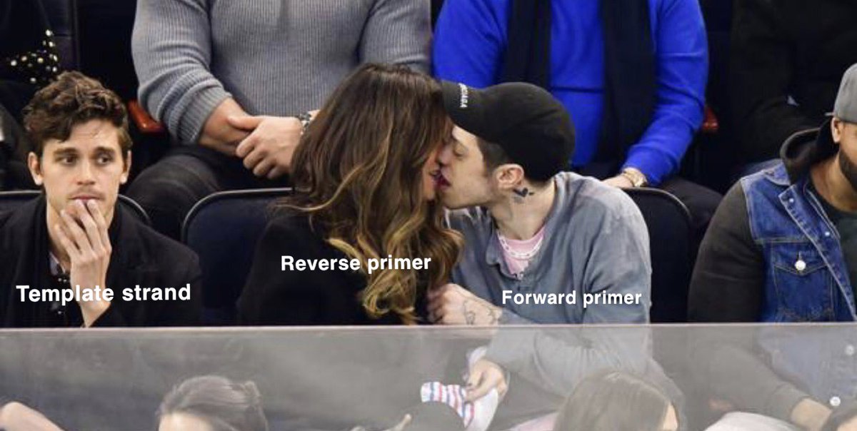 Primer dimers am I right?

I just couldn’t resist.