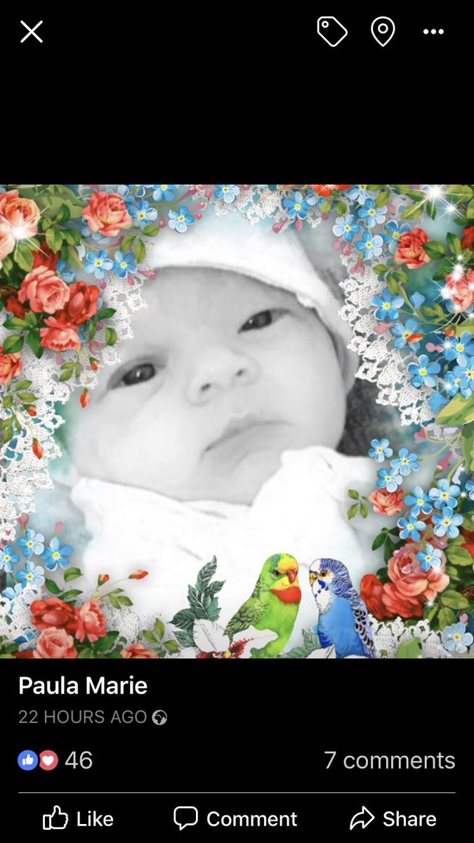 paulafy121's tweet photo. So this beautiful treasure arrived #mygrandaughter ❤️ https://t.co/8ar7wpZDTh