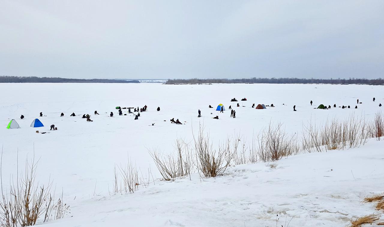 Озеро мостовое алтайский край рыбалка карта