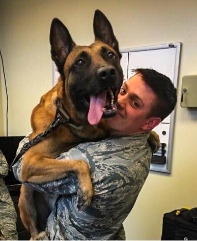 az_jamie's tweet photo. For National #HugaGIDay let's not forget those who have four legs! They like to get and give hugs too! Sending virtual hugs to all those who have served! #thankourtroops #NWDVM #NationalHugaGIDay #mwd #militaryk9 #belgianmalinois #veterans #military #usmilitary #gratitude https://t.co/7uRRBdq82Y