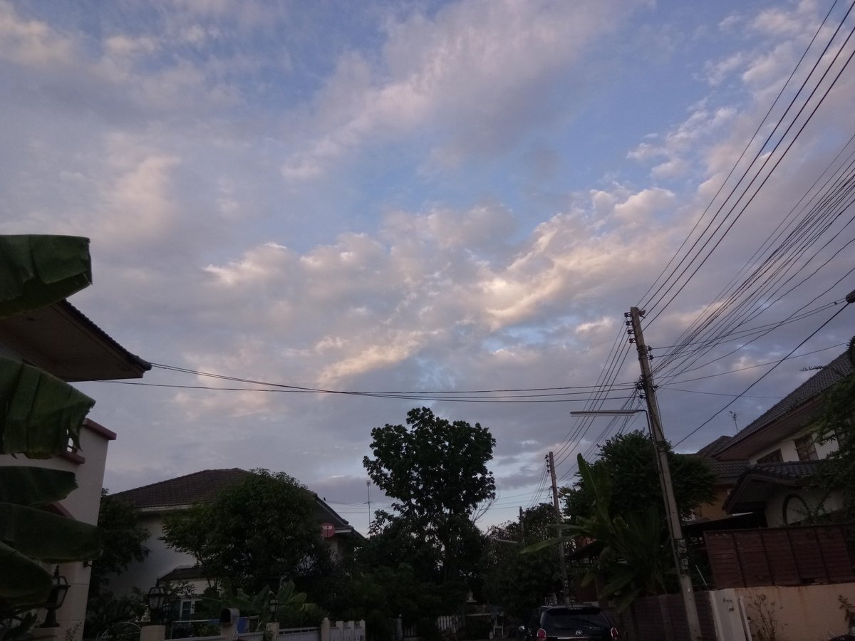 เดย์ย์. tweet media