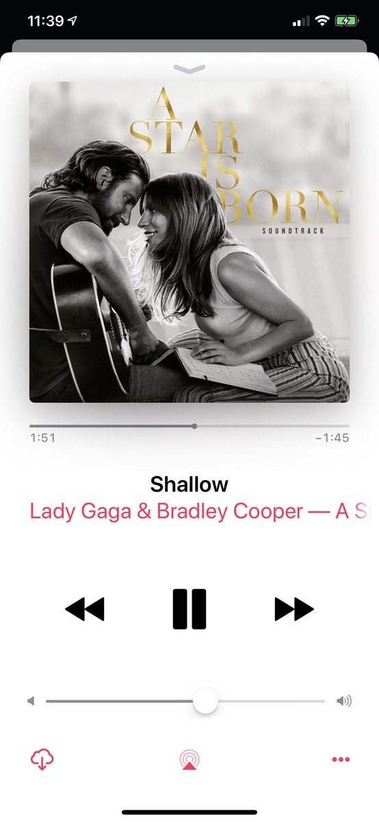 BadMonsterBear's tweet photo. #ShallowIsNumberOneParty https://t.co/nU0LGYaCyh