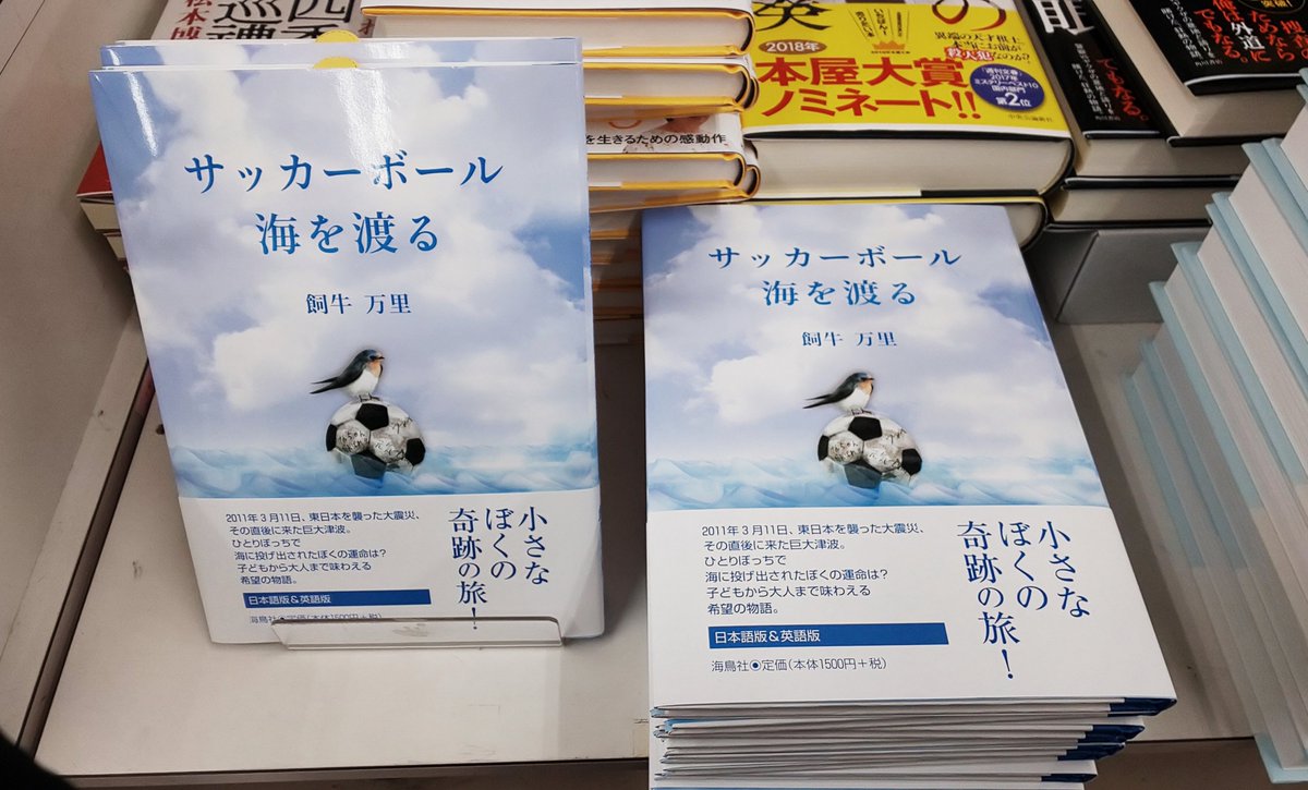 ブックポートネギシ 東海新報社 オリジナルポストカード 連載中の けせんの詩 から選ばれた８枚がポストカードに 今月は特に帰省の方 市外県外の方も 大船渡に来る機会も多いと思います 大船渡 の四季を楽しみながら このカードを贈り物やご