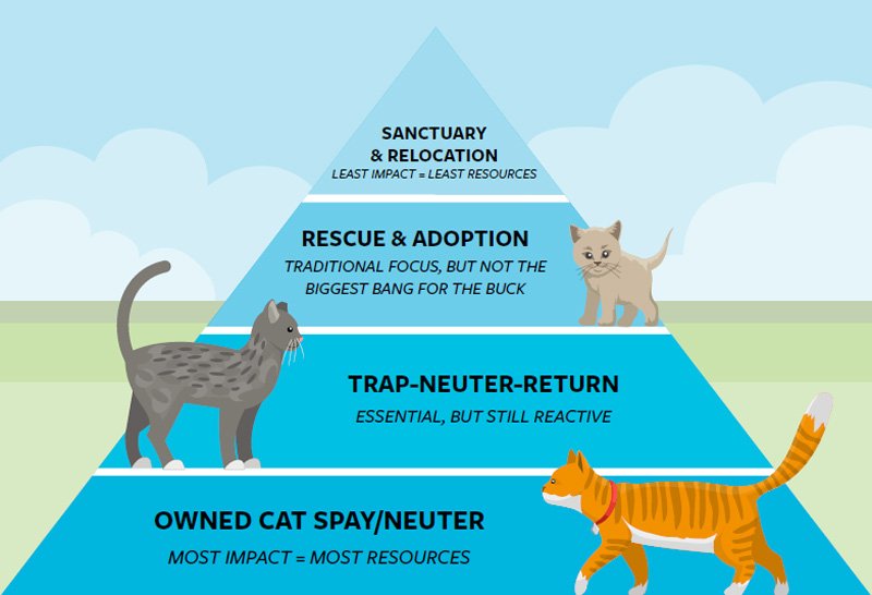 As cat advocates, we use multiple strategies to help as many cats as possible, ie foster care & TNVR programs. But are all of our strategies equally helpful? Should they all receive an equal share of our resources? #TNRTuesday 
bit.ly/2UalOcC