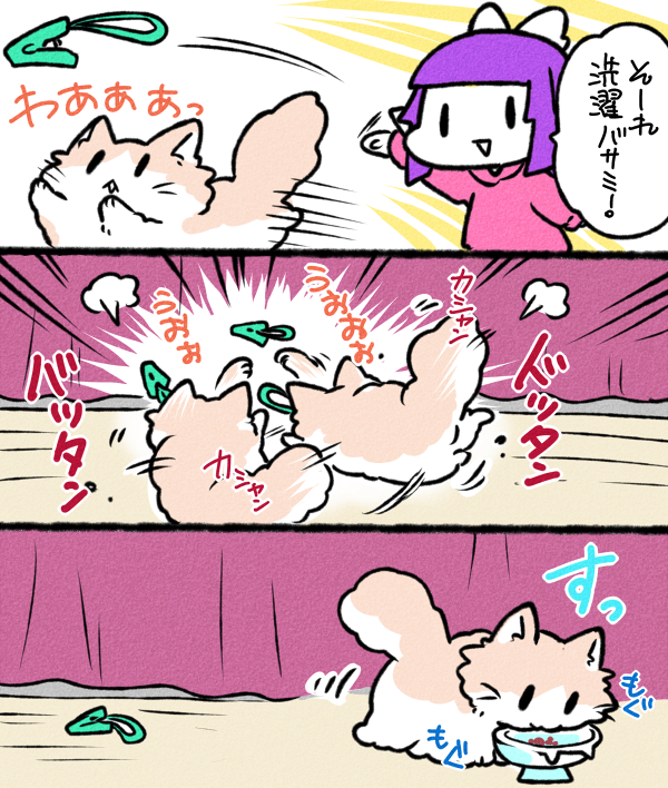 ご飯を食べるタイミングがいつも謎なそめくん 
