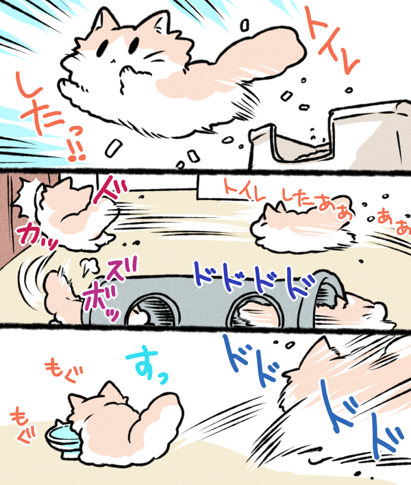 ご飯を食べるタイミングがいつも謎なそめくん 