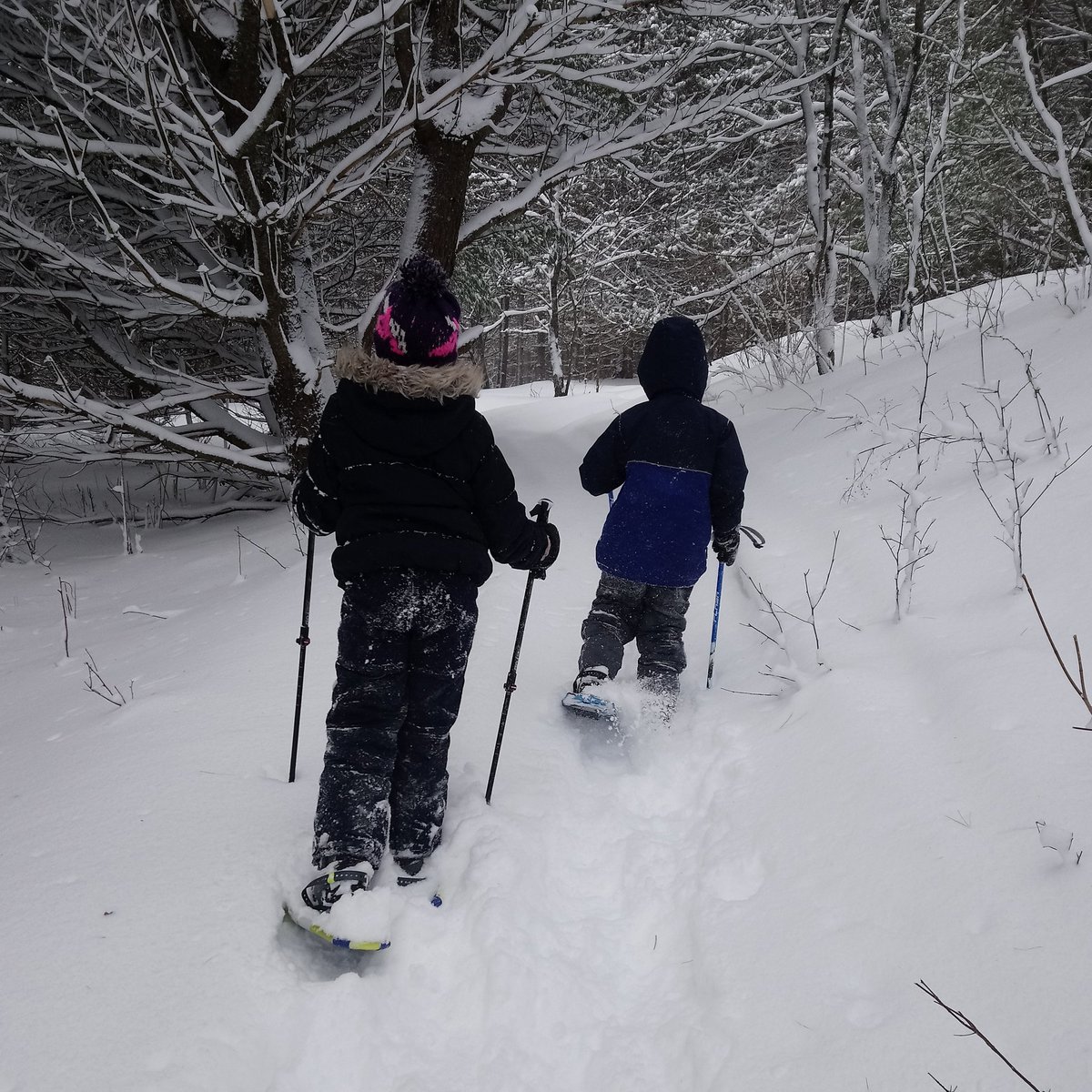 Samantha Graves, CHRP tweet media