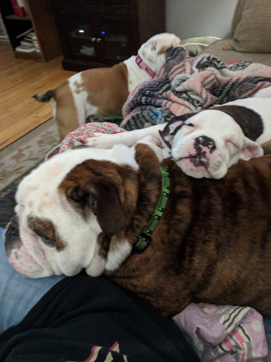 redboston6797's tweet photo. Newest baby, his name is Jaxon.... https://t.co/HKeiufOgdP