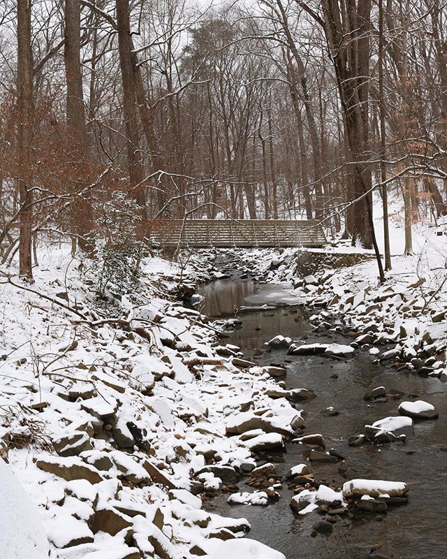 Photo by: @klk_photography11 ift.tt/2C4hfKh