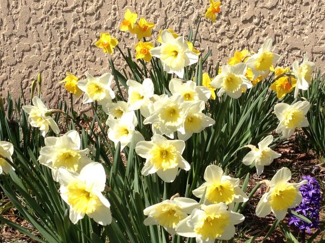 AnneVBrady's tweet image. Your college student is coming home for Spring Break soon. Are you ready? bit.ly/2tPFeZt #SpringBreak #collegespringbreak #collegeparent #college