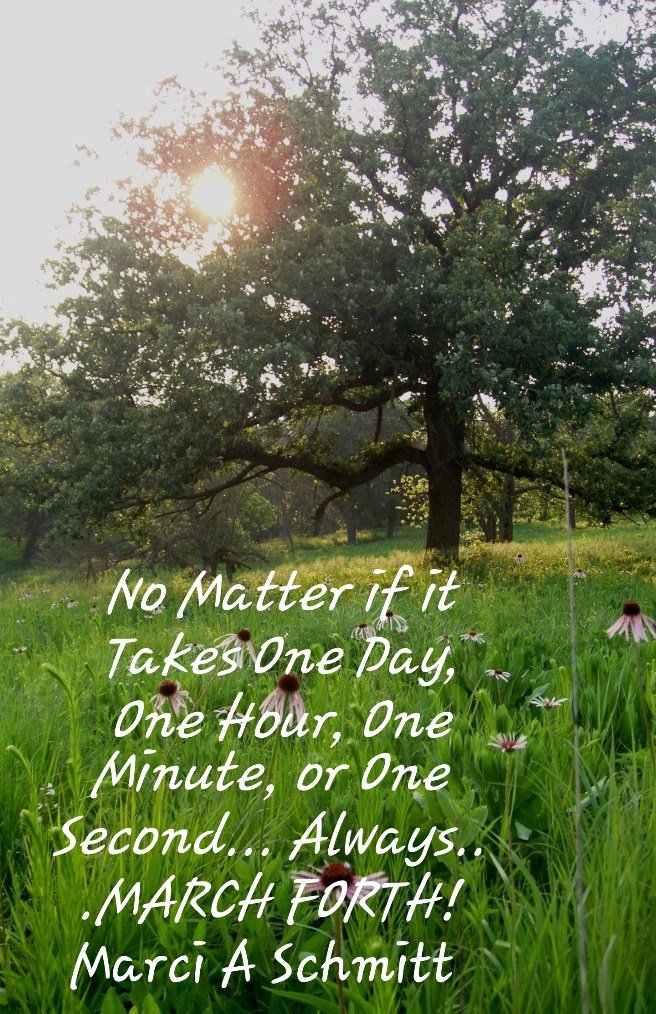 WhiteRockUltra's tweet image. #marchforth